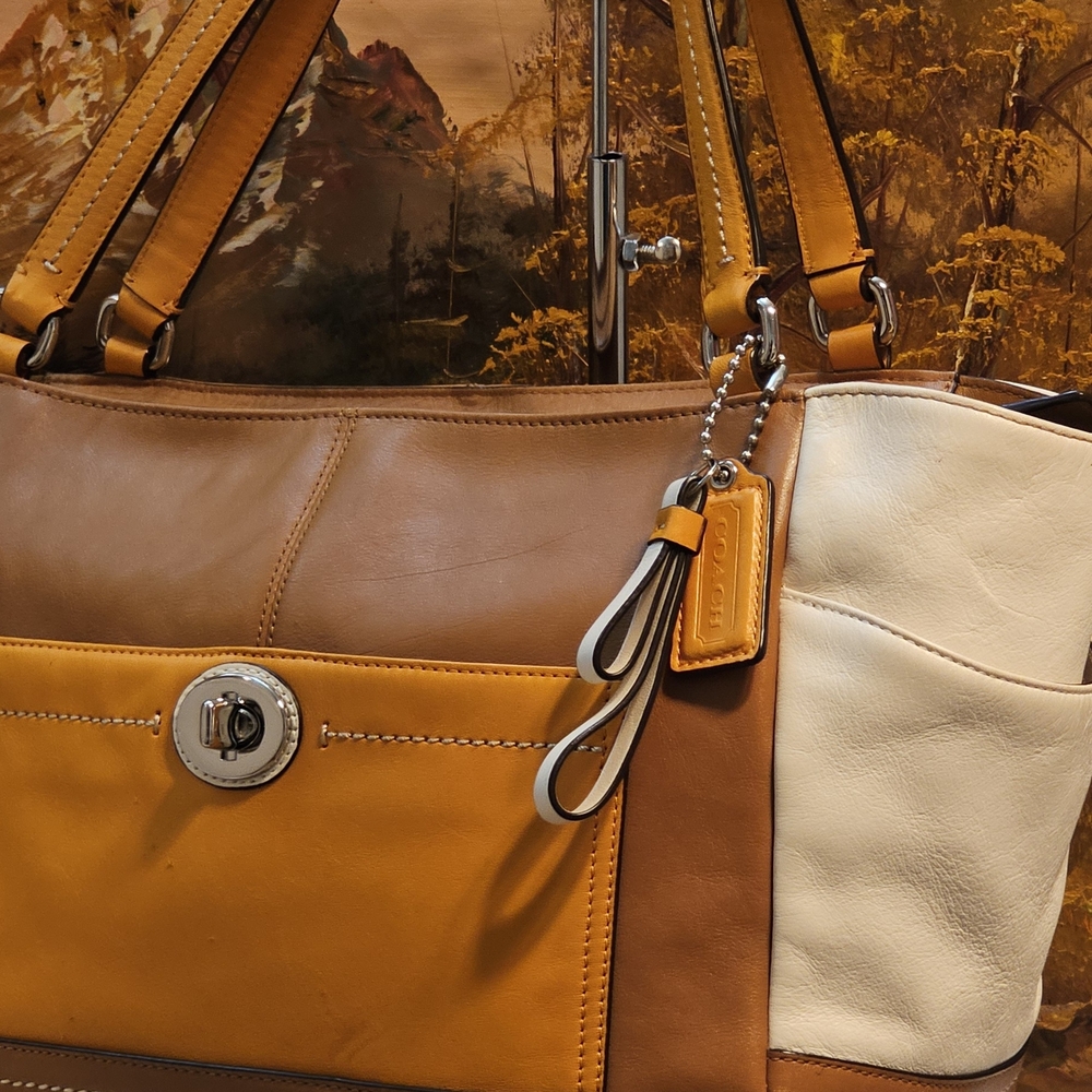 Coach Carrie Colorblock Leather Shoulder Bag - Picture 12 of 16